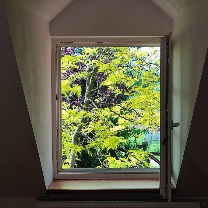 Apartment Urocze Miejsce *