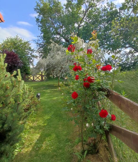 Apartment Urocze Miejsce