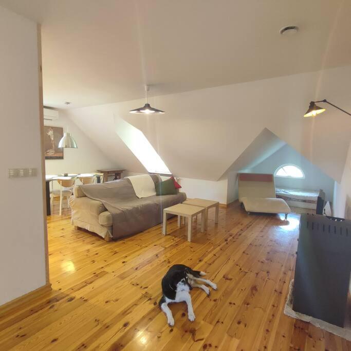 Urocze Miejsce Apartment