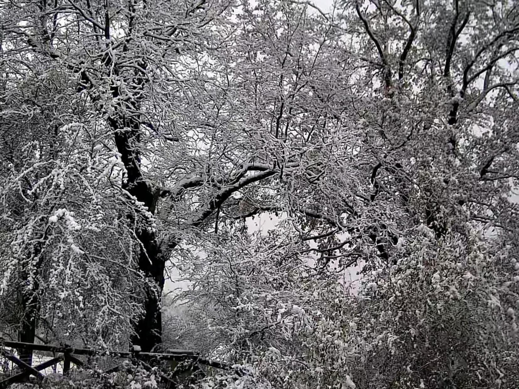 Urocze Miejsce Kazimierz Dolny